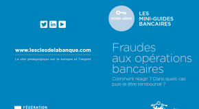 Mini Guide Fraudes Bancaires