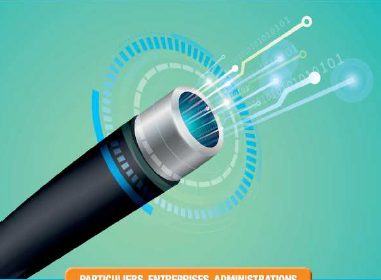 L&rsquo;ARRÊT DU RÉSEAU CUIVRE